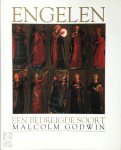 Malcolm Godwin - Engelen Een bedreigde soort