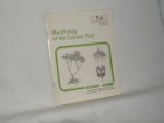 Dominguez, Carlos E. - Study Guide. Morphology of the Cassava Plant. To be used as a supplement to the audiotutorial unit on the same topic.