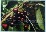 Ria Dubbeldam & Francine Smink. fotografie: Hans Dirksen e.a. - Tot in de kersentijd. Verleden, heden en toekomst van de kersenteelt in de Kromme Rijnstreek