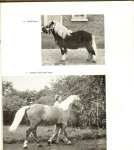 Lijsen H.J .. Met meer dan 100 tekeningen van Rob Krom en 21 foto's met een voorwoord door Dr.H.J. Weekenstroo - Paardenkennis .. Het skelet,het exterieur, het hoofd en de hals, de schoft, de rug, de staart,de voorborst.de ribben, flanken en de buik, de koker en de kling