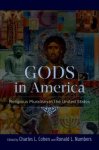  - Gods in America Religious Pluralism in the United States
