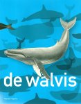 Kos, Anton en Cammel, Hilde - De walvis