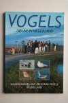  - NIEUW IN Nederland  VOGELS  waarnemingen van zeldzame vogels in ons land