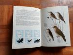 Walter Cerny - A field guide in colour to Birds