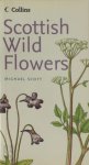Michael Scott 32487 - Scottish Wild Flowers