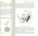 Lanson Lucienne .. van binnen bekeken - Van vrouw tot vrouw .. de onberekenbare vrouw  .. de kwetsbare vrouw .. de vrouwelijke seksuliteit, het privilege vrouw te zijn, veranderingen in de lichamelijke gesteldheid