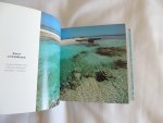 Cécile Breffort - cafiero - deans - La mer cubalire - Ouvrage au format cubique présentant des images de la mer, du littoral, de la faune et la flore marines, de pêcheurs et de marins.- gründ