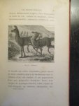 V. Tissot & C. Améro - Les peuples etranges de l'amerique du sud