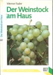 Fader, Werner met Grafiken Hellmut Hoffmann  Rijk geillustreerd - Der Weinstock am Haus