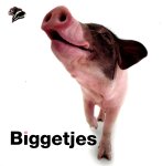 Dennis Friedhoff 61467 - Biggetjes