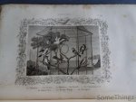 Buffon. - Oeuvres choisis de Buffon. Précédé d'une notice sur sa vie et ses ouvrages par D. Saucié. Edition illustrée par M. Werner.