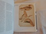 von Dirk Luckow - Petra Gördüren - Dopplereffekt. Bilder in Kunst und Wissenschaft