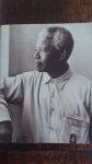 Mandela - the illustrated long walk to freedoms