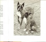 RHEENEN JAN VAN      fotos van Chr.A.  Veldhuis en W. Emmens - DE BOXER * potret van een honderas met 18 foto's van chr.a.veldhuis en w.emmens tweede druk