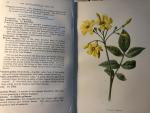 McDonald, D & ex-libris van Jac.P.Thijsse - Sweet-Scented Flowers and Fragrant Leaves