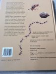 Buissink, F. - Pissebedden, trilspinnen en andere huisgenoten Buissink, F. - Pissebedden, trilspinnen en andere huisgenoten