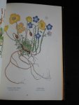 Josef Weisz, Kolorierte Holzschnitte und Text - Blumen der Berge
