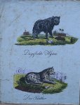 antique print (prent) - Die gefleckte Hyena. Der panther.