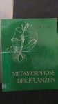 Goethe, J.W. - Metamorphose der Pflanzen.