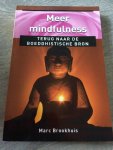 Brookhuis, Marc - Meer mindfulness - Ankertje 342 / terug naar de boeddhistische bron