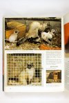 Diverse - Larousse katten encyclopedie (2 foto's)