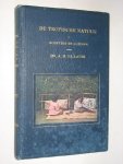 Blauw, Dr.A.H. - De Tropische Natuur in schetsen en kleuren