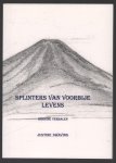 Justine Swaving - Splinters van voorbije levens : Indische verhalen
