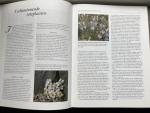 Wiert Nieuman - Rotsplanten / druk 1