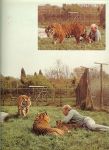 Mitchell, Bruce .. Nederlandse vertaling : Mevr. F.M. Ingen Housz - Beems - Grote Katten