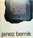 Zoran Krzisnik - Janez Bernik