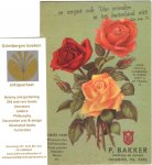  - Nursery catalogue P. Bakker Hillegom Spring 1949