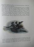 Gogol, Nikolaus - Teufel, Hexen und Kosaken Gogol, Nikolaus - Teufel, Hexen und Kosaken