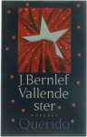 J. Bernlef - Vallende ster