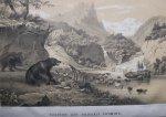 Zimmermann, W.F.A., - De wonderen der voorwereld. Een populaire voorstelling van de geschiedenis der schepping.en den oorspronkelijken toestand der aarde.