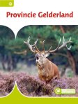 Hanneke Siemensma - Junior Informatie 79 - Provincie Gelderland