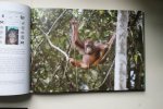 Schuster, Gerd; Smits, Willie; Ullal, Jay - achtergrond - foto's - feiten- DE DENKERS VAN DE JUNGLE  Het orangutan rapport