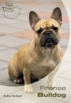 Esther Verhoef - Franse Bulldog Basisgids
