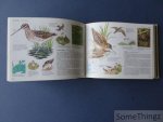 Han Honders et al. (medewerkers) / Reader's Digest. - Reader's Digest. Veldgids voor de natuurliefhebber. Vogels van West- en Midden-Europa
