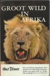 Grosfeld, Frans (red. Han Rensenbrink) - Groot wild in Afrika