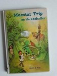 DE BOER - MEESTER TRIP EN DE BOSHUILER