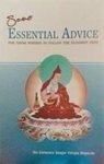 Sangs-Rgyas-Mnyan-Pa X (Rin-Po-Che) - Some Essential Advice for Those Wishing to Follow the Buddhist Path