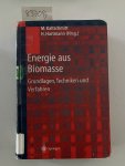 Kaltschmitt, Martin, Hans Hartmann und Hermann Hofbauer: - Energie aus Biomasse: Grundlagen, Techniken und Verfahren