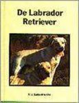 M. Satterhwaite - De Labrador retriever