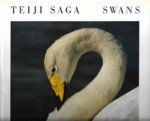 Saga, Teiji - Swans Saga, Teiji - Swans