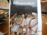 Vincenzo de Michele - Mineralen / druk 1