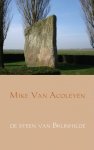 Mike van Acoleyen - De steen van Brunhilde