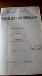 Heukels, H. - Geïllustreerde schoolflora voor Nederland / 10e druk