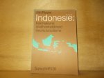 Pluvier, Jan - Indonesië kolonialisme onafhankelijkheid neo-kolonialisme een politieke geschiedenis van 1940 tot heden