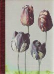 BLOK, Leendert - Gilles CLÉMENT [Text] - Leendert Blok - Silent Beauties - Photographs from the 1920s.