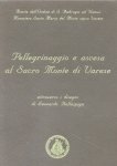 Bellaspiga, Leonardo - Pellegrinaggio e ascesa al Sacro Monte di Varese